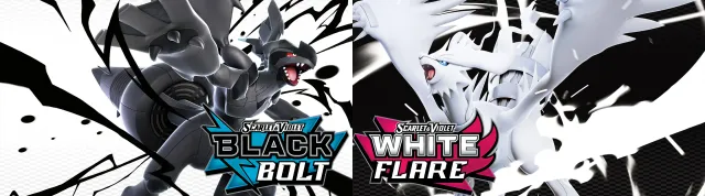 Pokemon Scarlet & Violet - Black & White Banner